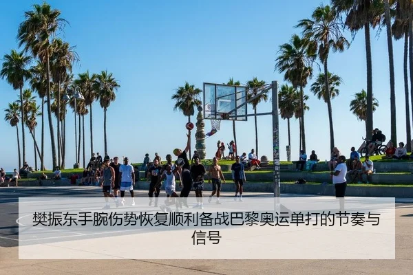 樊振东手腕伤势恢复顺利备战巴黎奥运单打的节奏与信号